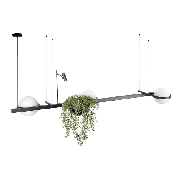 Подвесной светильник LOFT IT Jardin 10121/C Фото № 2