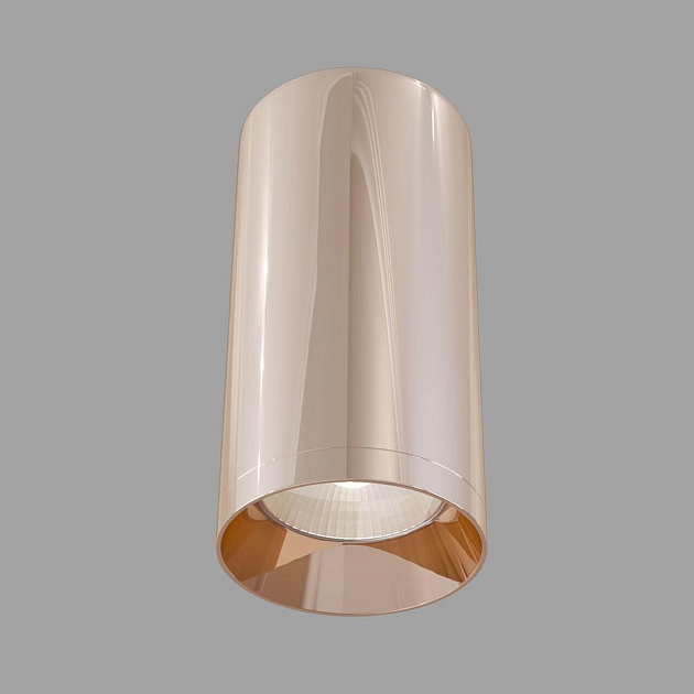 Потолочный светильник Maytoni Alfa C010CL-01RG Фото № 4