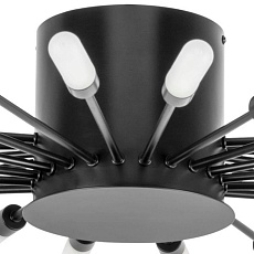 Потолочная люстра Lightstar Ragno 732287 2