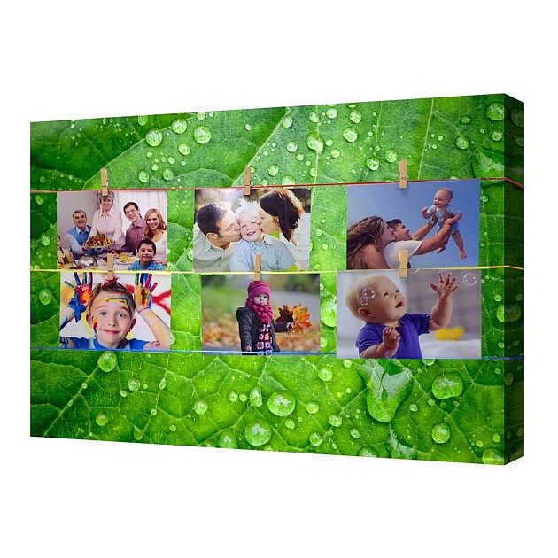 Фотофон Toplight 50х70см TL-F0001 изображение Фотофон Toplight 50х70см TL-F0001 Фото №
