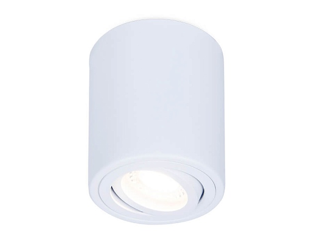 Потолочный светильник Ambrella light Techno Spot TN225 изображение Потолочный светильник Ambrella light Techno Spot TN225 Фото №