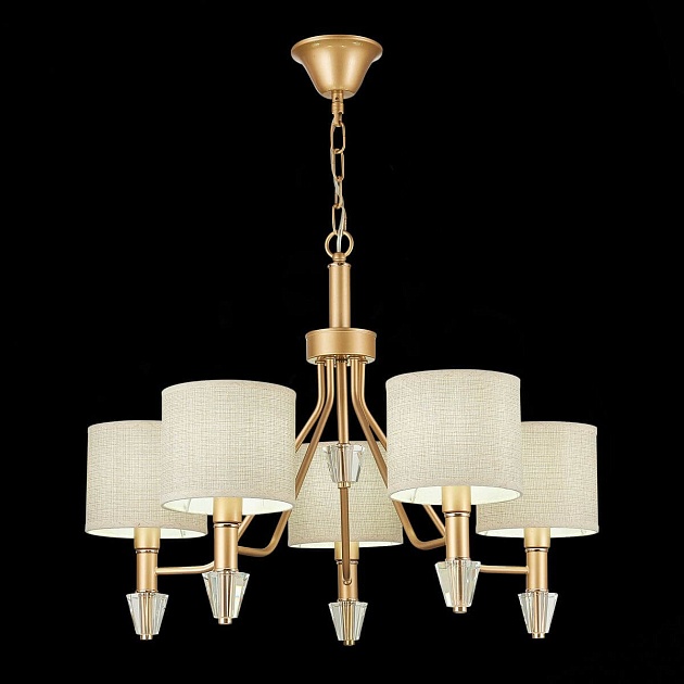 Подвесная люстра Evoluce Vilede SLE107003-05 Фото № 4