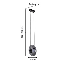 Подвесной светодиодный светильник Favourite Rulle 4373-1P 1