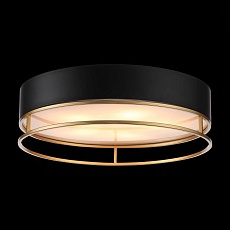 Потолочный светильник ST Luce Chodo SL1127.432.05 5
