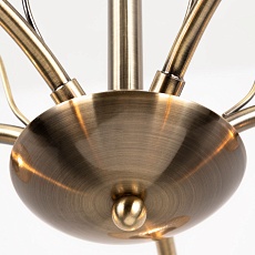 Потолочная люстра Arte Lamp Willow A3461PL-5AB 2
