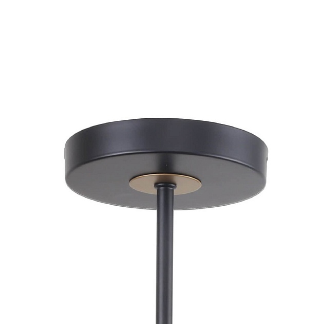 Потолочная люстра F-Promo Rigor 2844-8P изображение 3 Потолочная люстра F-Promo Rigor 2844-8P Фото № 3