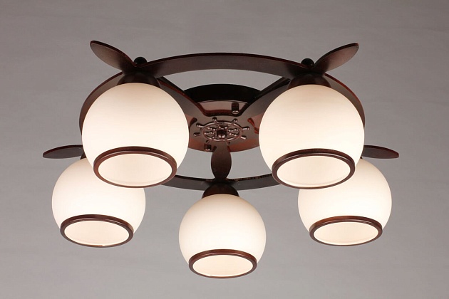 Потолочная люстра Omnilux OML-50507-05 изображение 3 Потолочная люстра Omnilux OML-50507-05 Фото № 3