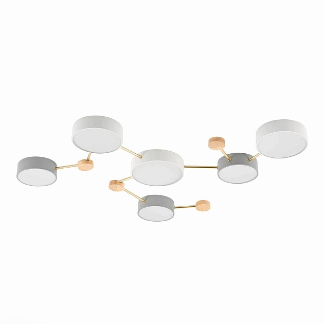 Потолочный светильник Evoluce DOSSENA SLE600102-06 Фото № 3