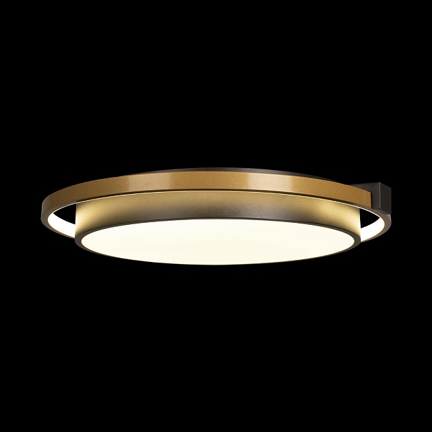 Потолочный светодиодный светильник Loft IT Mike 10170 Фото № 3