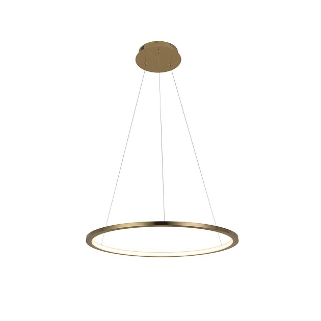 Подвесной светодиодный светильник Loft IT Ring 10014M Фото № 