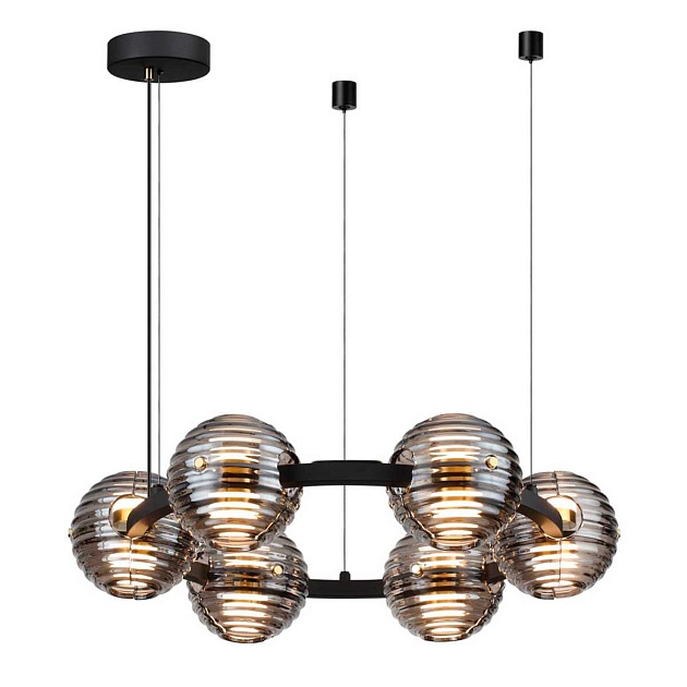 Подвесная люстра Odeon Light TRONI 5041/60L Фото № 