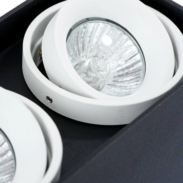 Потолочный светильник Arte Lamp A5655PL-2BK Фото № 4