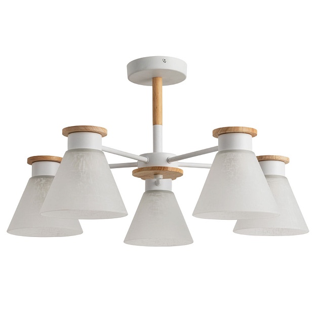 Потолочная люстра Arte Lamp Tyler A1031PL-5WH Фото № 