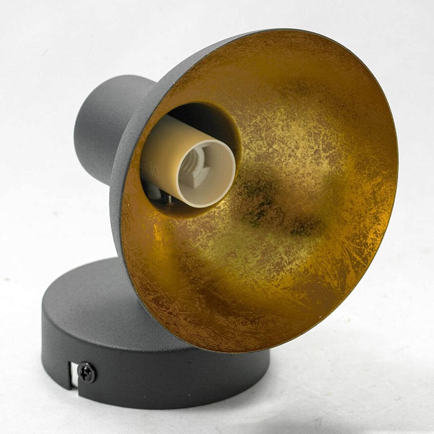 Спот Lussole Loft Louisville GRLSP-9973 Фото № 3