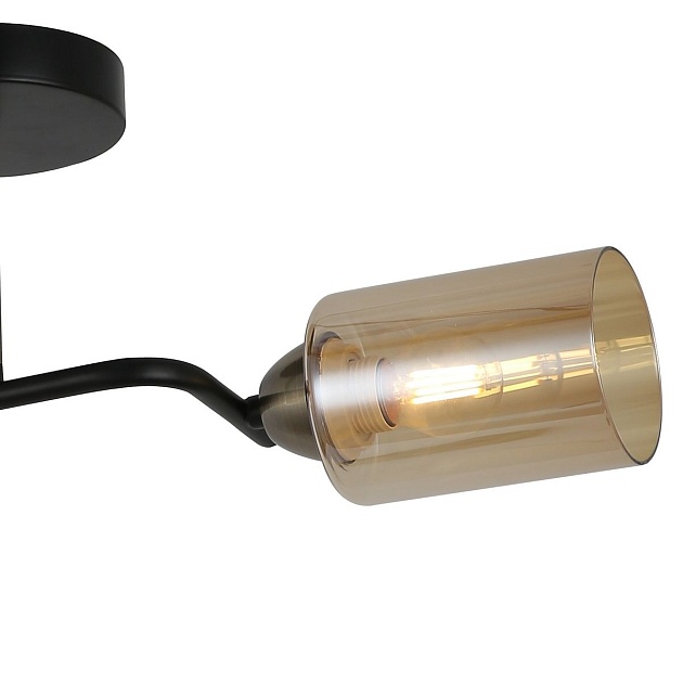 Потолочная люстра Illumico IL8148-2COU-79 BK BR изображение 3 Потолочная люстра Illumico IL8148-2COU-79 BK BR Фото № 3