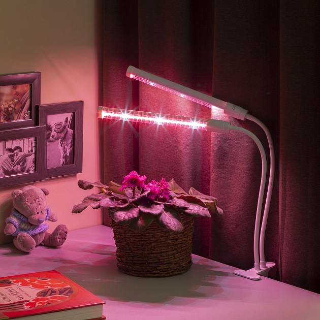 Настольная лампа ЭРА Crocus Fito-20W-Aled Б0039171 изображение 9 Настольная лампа ЭРА Crocus Fito-20W-Aled Б0039171 Фото № 9