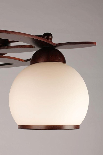 Потолочная люстра Omnilux OML-50507-03 Фото № 4