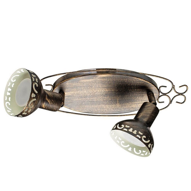 Спот Arte Lamp Focus A5219AP-2BR Фото № 