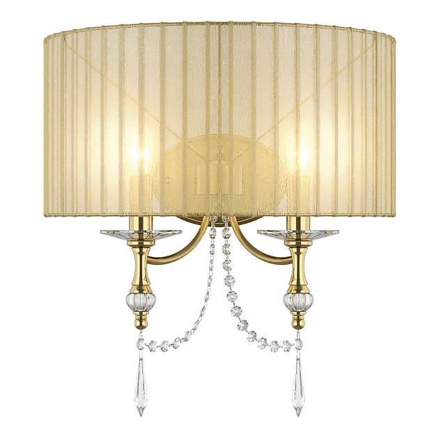 Настенный светильник Lightstar Paralume 725623 Фото № 
