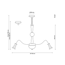 Подвесная люстра Lucia Tucci Natura 071.12 LED 1