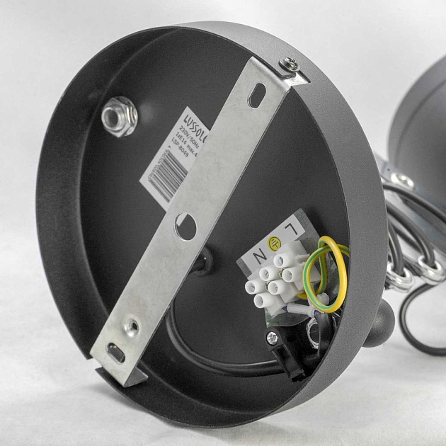 Спот Lussole Loft Koyukuk LSP-8049V изображение 2 Спот Lussole Loft Koyukuk LSP-8049V Фото № 2