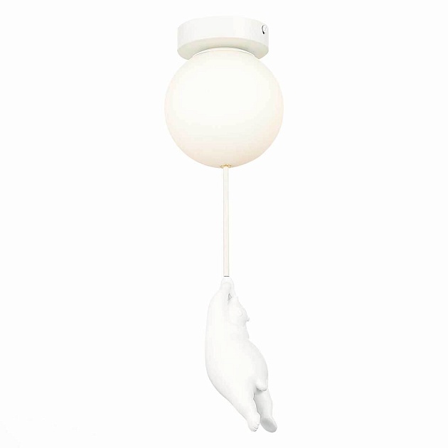 Потолочный светильник Evoluce MODENA SLE115402-01 изображение Потолочный светильник Evoluce MODENA SLE115402-01 Фото №