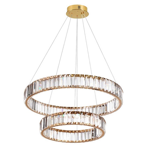 Подвесной светодиодный светильник Odeon Light Vekia 5015/60L Фото № 