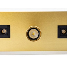 Светодиодный спот Arte Lamp Pisces A2220PL-3GO 2