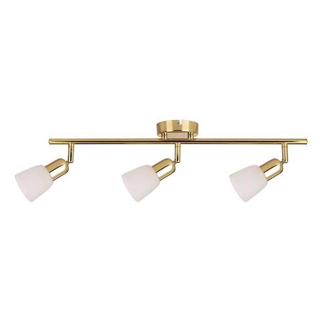 Спот Escada 5039/3PA изображение Спот Escada 5039/3PA Фото №