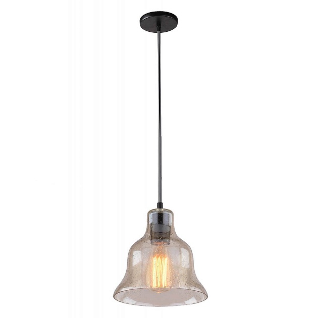 Подвесной светильник Arte Lamp Amiata A4255SP-1AM Фото № 