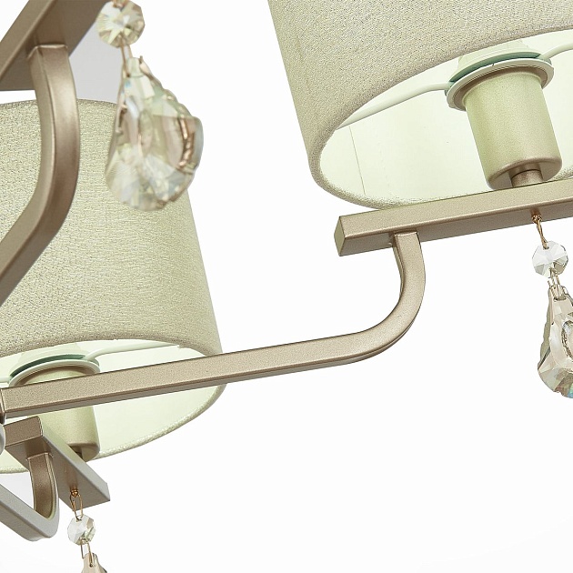 Подвесная люстра Evoluce Elida SLE107703-05 Фото № 2