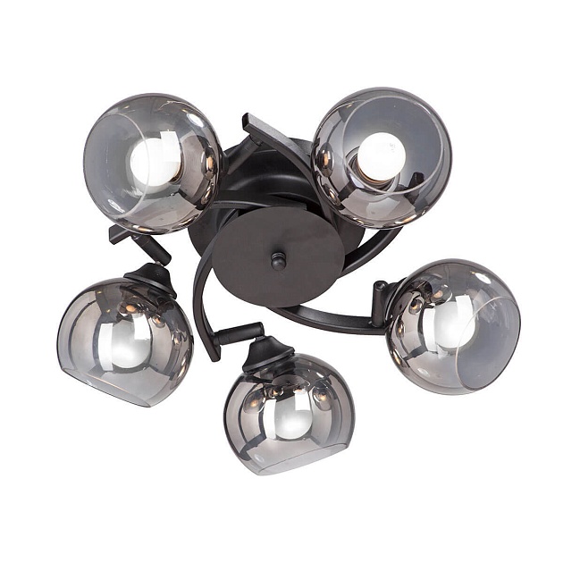 Спот Vitaluce V4307-1/5PL изображение Спот Vitaluce V4307-1/5PL Фото №