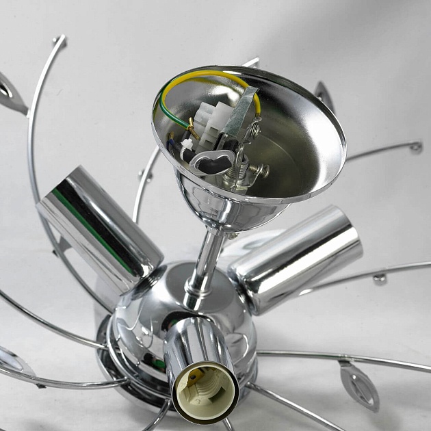 Потолочная люстра Lussole Lgo GRLSP-0185 изображение 3 Потолочная люстра Lussole Lgo GRLSP-0185 Фото № 3