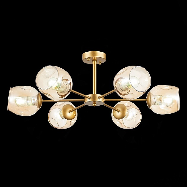 Потолочная люстра Evoluce Pallo SLE155412-06 изображение 3 Потолочная люстра Evoluce Pallo SLE155412-06 Фото № 3