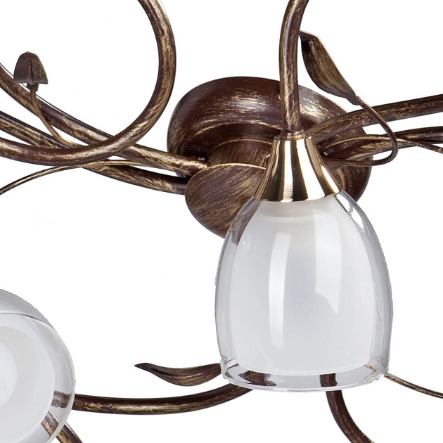 Потолочная люстра Vitaluce V3262/6PL изображение 2 Потолочная люстра Vitaluce V3262/6PL Фото № 2