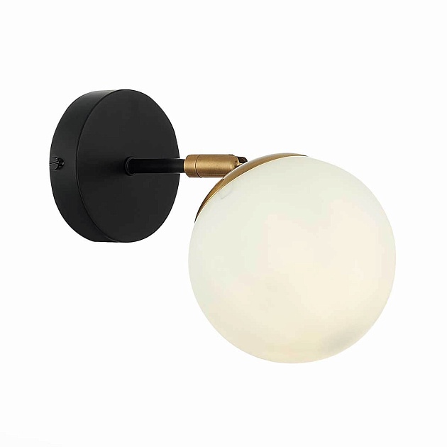 Бра Evoluce FORLI SLE220401-01 изображение Бра Evoluce FORLI SLE220401-01 Фото №