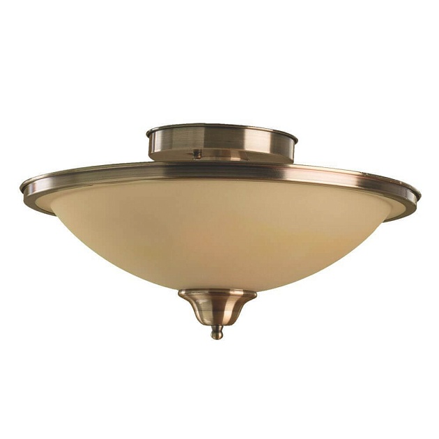 Потолочный светильник Arte Lamp Safari A6905PL-2AB Фото № 