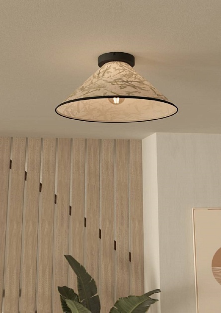 Потолочный светильник Eglo Oxpark 43941 изображение 4 Потолочный светильник Eglo Oxpark 43941 Фото № 4