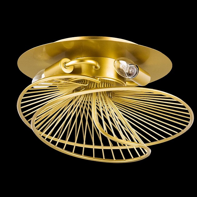 Потолочная люстра Lightstar Zeta 728133 Фото № 8