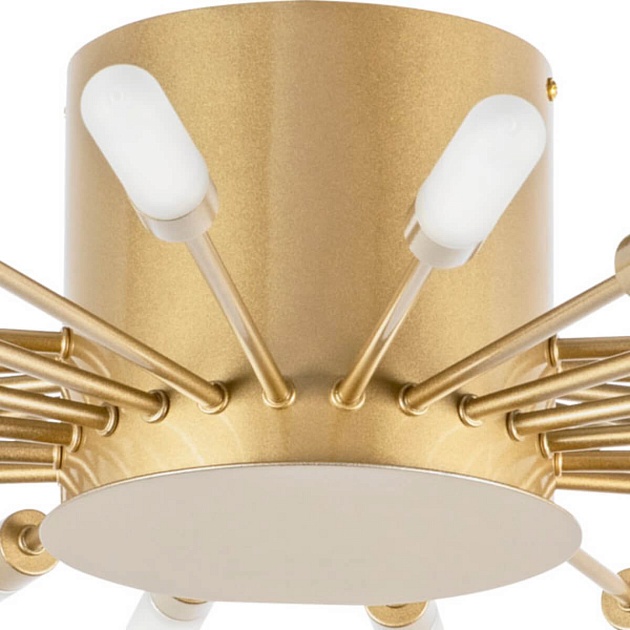 Потолочная люстра Lightstar Ragno 732283 изображение 4 Потолочная люстра Lightstar Ragno 732283 Фото № 4
