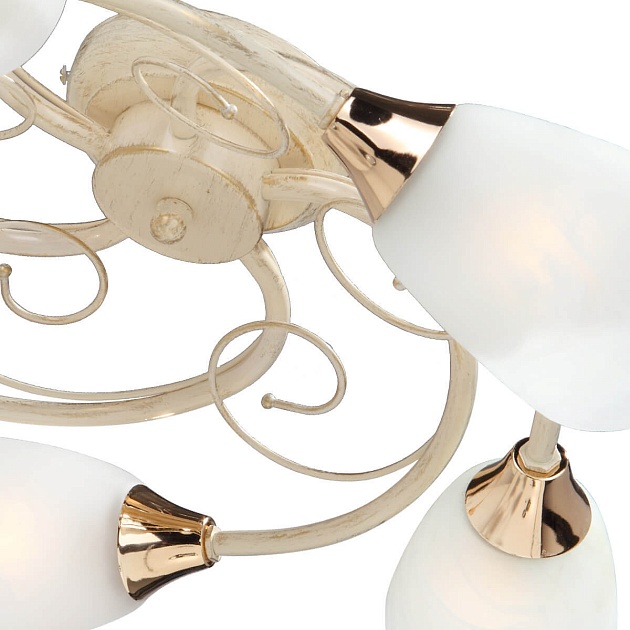 Потолочная люстра Vitaluce V3663/5PL изображение 2 Потолочная люстра Vitaluce V3663/5PL Фото № 2