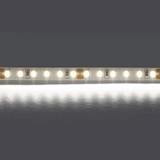 Светодиодная лента Lightstar 12W/m 120LED/m холодный белый 5M 420805 1