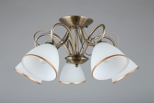 Потолочная люстра Omnilux Alimini OML-25307-05 изображение 7 Потолочная люстра Omnilux Alimini OML-25307-05 Фото № 7