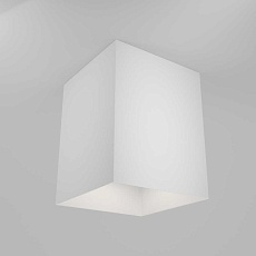 Потолочный светильник Maytoni Alfa C015CL-01W 5