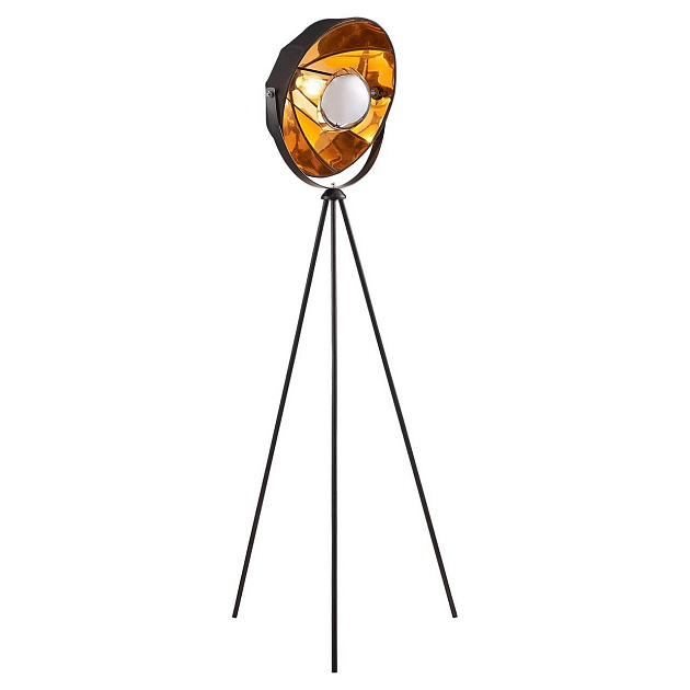 Торшер Lussole Lgo Klamath LSP-0556 Фото № 