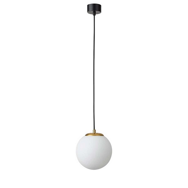 Подвесной светильник Lumion DEXTER 6500/1 Фото № 