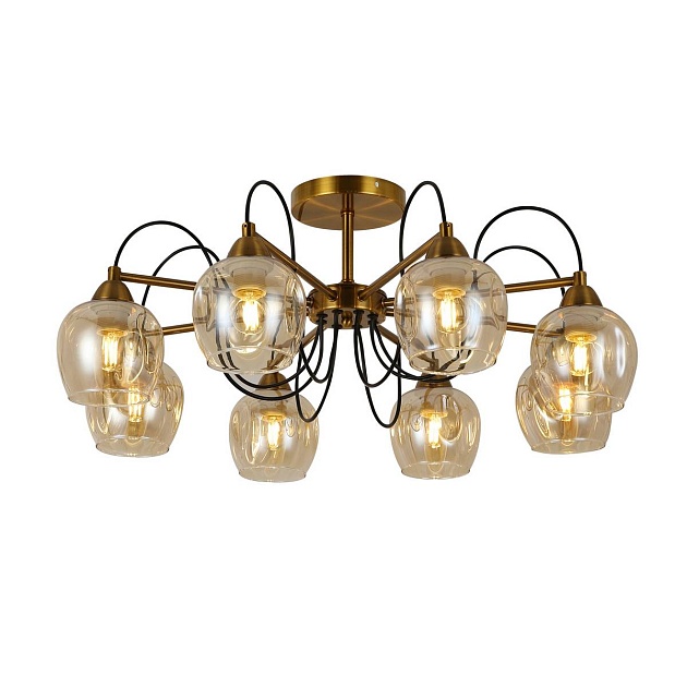 Потолочная люстра Evoluce Acro SLE110002-08 Фото № 