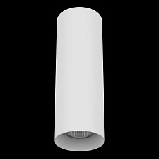Потолочный светильник Lightstar Rullo 216496 1