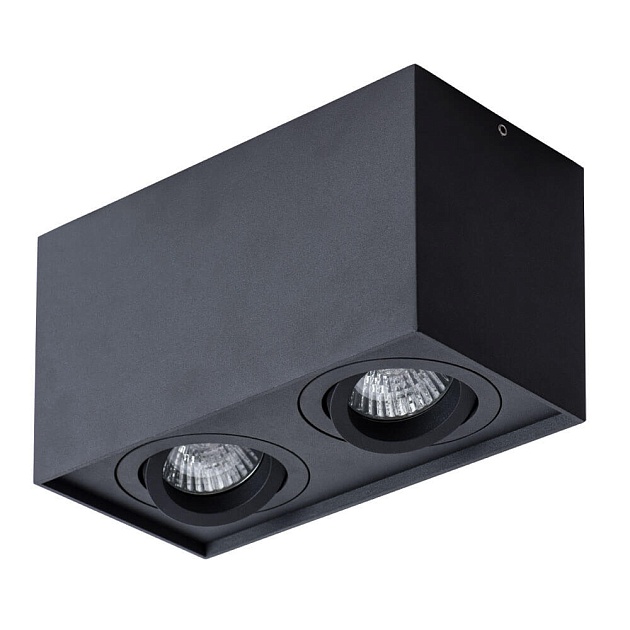 Потолочный светильник Arte Lamp Factor A5544PL-2BK Фото № 