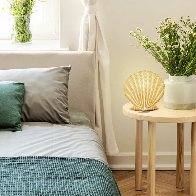 Настольная лампа Apeyron Ракушка с жемчужиной 18-105 Фото № 6